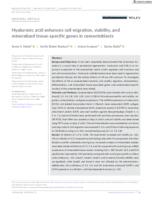 Hyaluronic acid enhances cell migration, viability, and mineralized tissue‐specific genes in cementoblasts