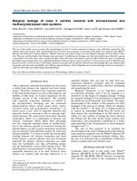 Marginal leakage of class V cavities restored with silorane-based and methacrylate-based resin systems