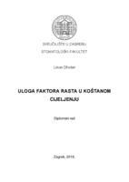 Uloga faktora rasta u koštanom cijeljenju