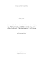 prikaz prve stranice dokumenta Klinička slika i epidemiologija u bolesnika s virusnim hepatitisom 