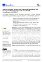 prikaz prve stranice dokumenta Fourier Transform Infrared Spectroscopy Reveals Molecular Changes in Blood Vessels of Rats Treated with Pentadecapeptide BPC 157