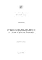 prikaz prve stranice dokumenta Etiologija heilitisa i najčešće utvrđeni etiološki čimbenici